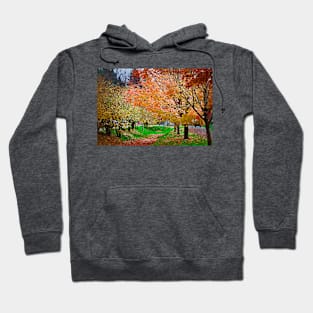 Autumn Colors Hoodie